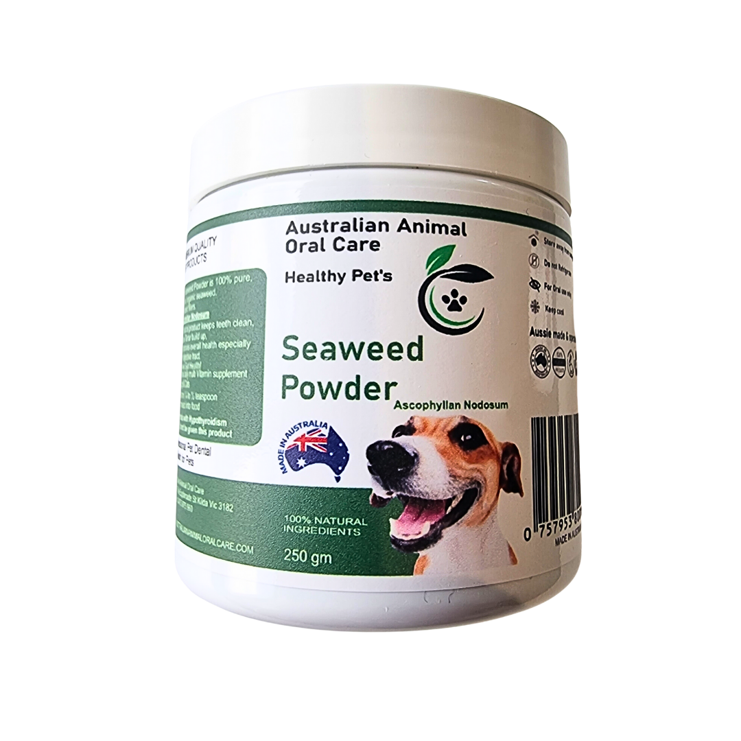 Dental Seaweed Powder -  Ascophyllum Nodosum