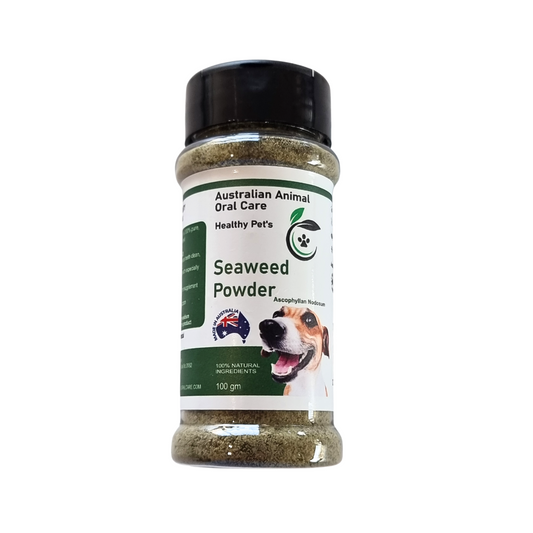 Dental Seaweed Powder -  Ascophyllum Nodosum