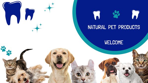 Dog Teeth Cleaning Products