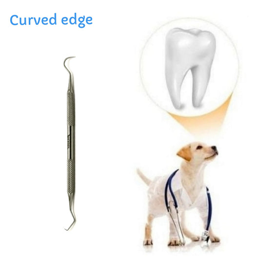 Dental Scaler Curved Edge