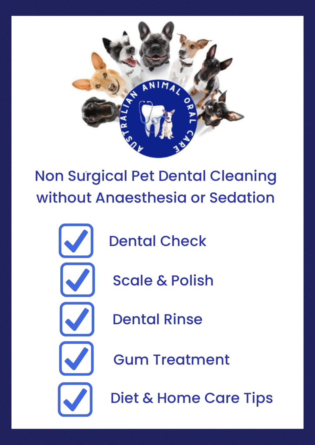 Dental Cleaning Booking