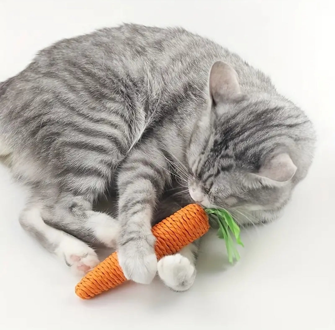 Carrot Chew 🥕
