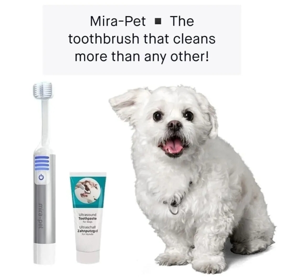 Dog toothbrush best sale australia