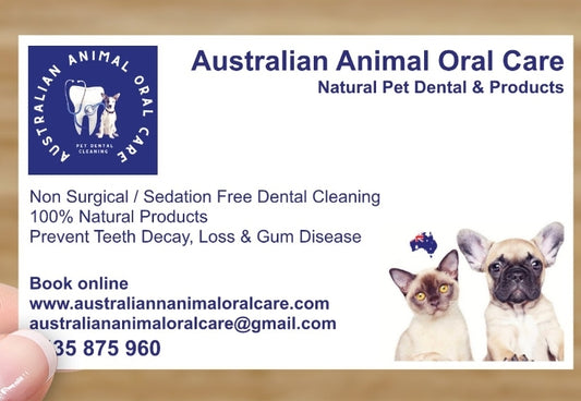 Dental Cleaning Booking
