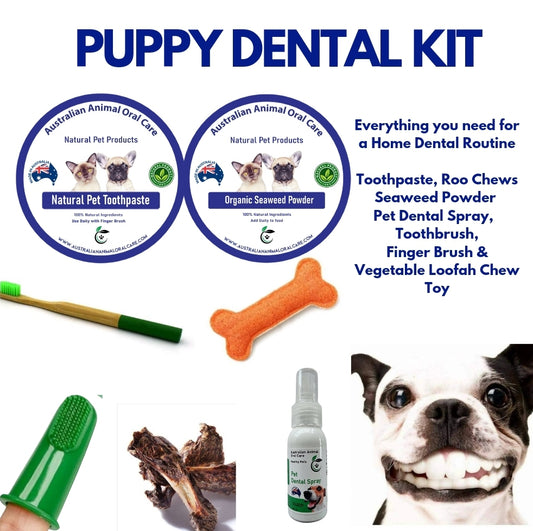 Puppy Dental Kit