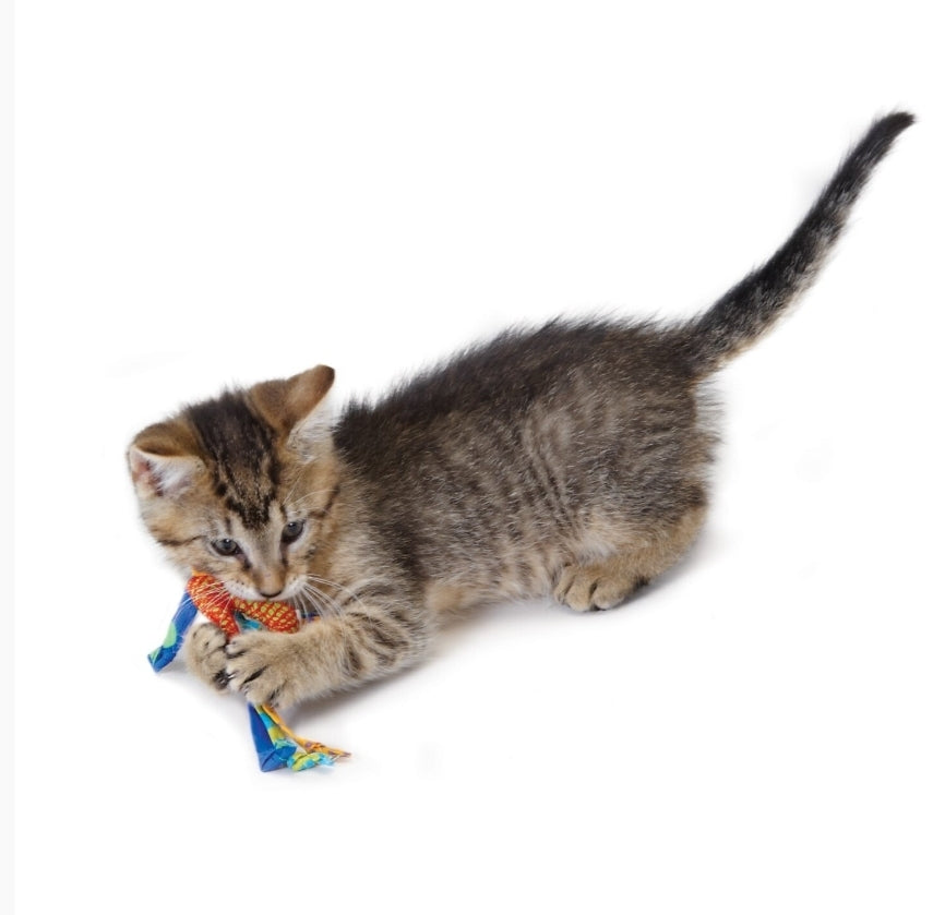 Cat Dental Chew Toys
