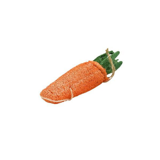 Dental Carrot Toy - Organic